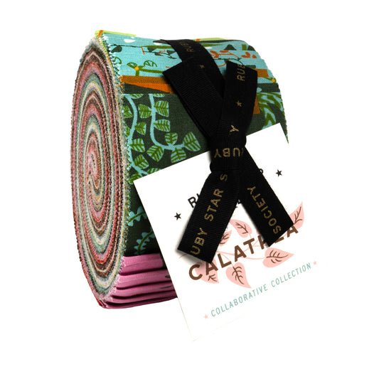 Calathea Jelly Roll