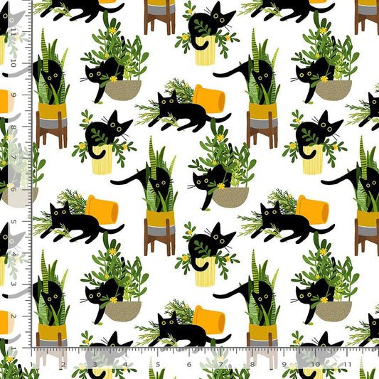 Just Purrlanted